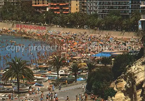 Benidorm Playa parque Colon Kat. Costa Blanca Spanien