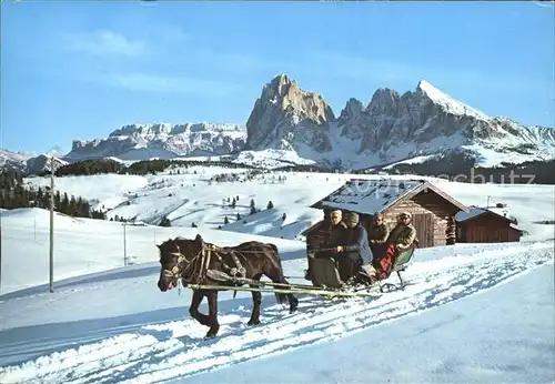 Seiseralm Chiemgau Pferdeschlitten Kat. Chiemsee