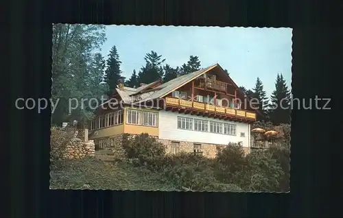 Stollhof Hohe Wand Alpengasthof Hanslsteighaus Kat. Hohe Wand Niederoesterreich