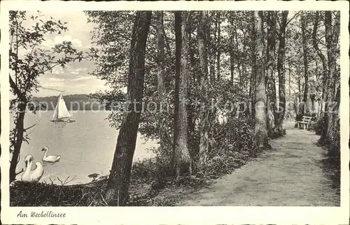 Altenhof Schorfheide Uferweg am Werbellinsee