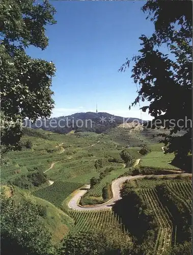 Kaiserstuhl Region Panorama Blick zum Totenkopf Weinanbaugebiet Kat. Ihringen