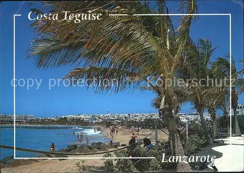 Costa Teguise Strand Palmen