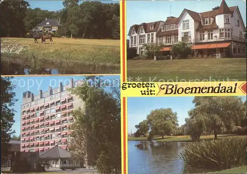 Bloemendaal Teilansichten Villa Pferde See