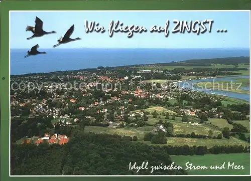Zingst Ostseebad Fliegeraufnahme Fischland Darss Kat. Zingst Darss