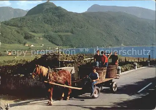 Suedtirol Weinlese Kat. Italien