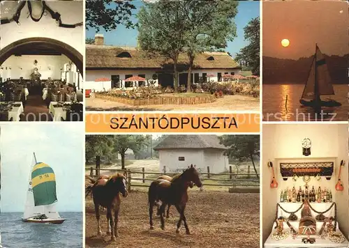 Szantodpuszta Restaurant am Plattensee Segeln Pferde Sonnenuntergang Kat. Ungarn