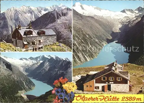 Olpererhuette Hochferner Gruppe Schlegeis Stausee Zillertaler Alpen Alpenflora Kat. Schwaz