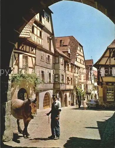 Alsace Elsass Pferd Kat. Epinal