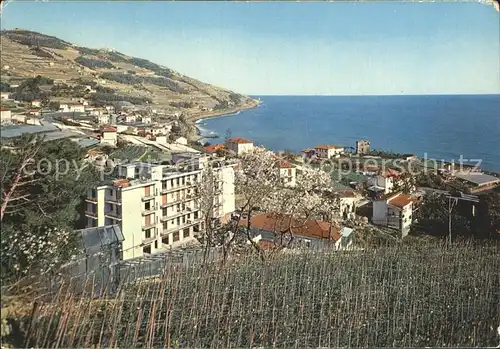 Cipressa Imperia Ansicht Aregai Gebiet Kat. Imperia