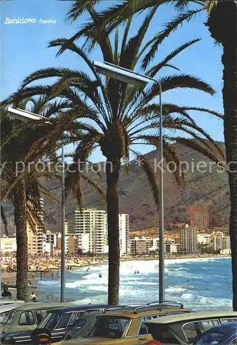 Benidorm Palmen Strand Hotels Kat. Costa Blanca Spanien