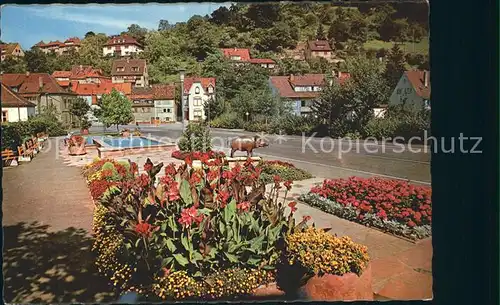 Eberbach Neckar Wasserspiele an der Neckarbruecke Kat. Eberbach