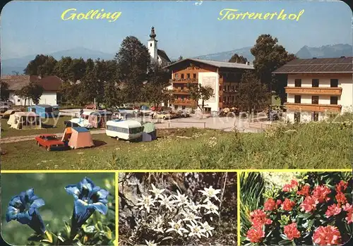Torren Golling Torrenerhof Camping Haflingerhof Alpenflora Enzian Edelweiss
