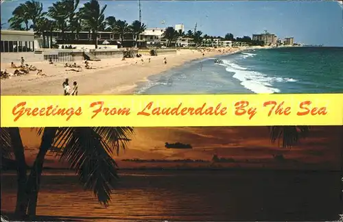 Lauderdale Florida Strand Kat. United States