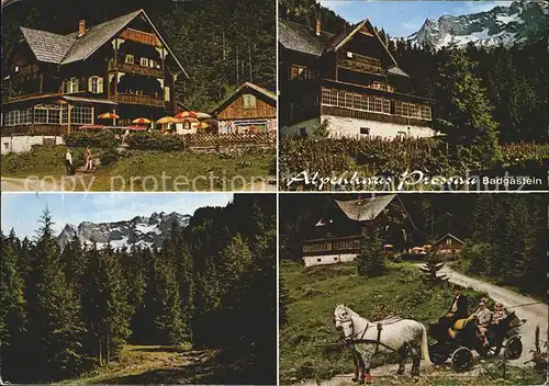 Badgastein Alpenhaus Prossau Pferdekutsche Kat. Bad Gastein