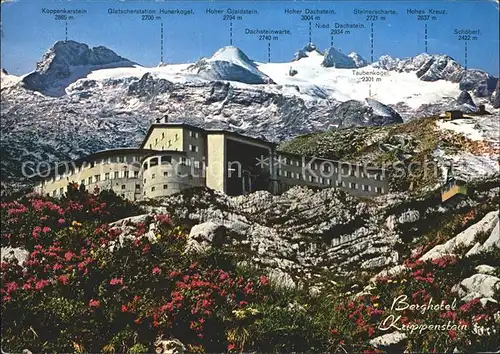 Dachstein Gebirge Berghaus Krippenstein mit Koenig Dachstein Kat. Oesterreich