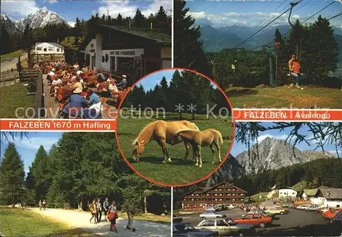 Falzeben Hafling Seilbahn Haflinger Kat. Hafling Bozen Suedtirol