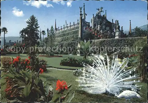 Isola Bella Garten Kat. Lago Maggiore