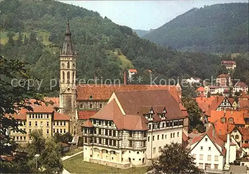 Urach Bad Residenzschloss und Amanduskirche Kat. Bad Urach
