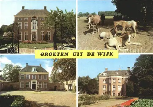 Wijk aan Zee Ville und Pferd Kat. Niederlande