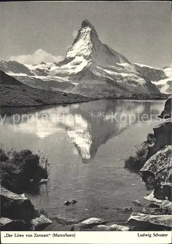 Matterhorn VS Loewe von Zermatt Kat. Matterhorn