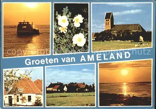 Ameland  Kat. Niederlande