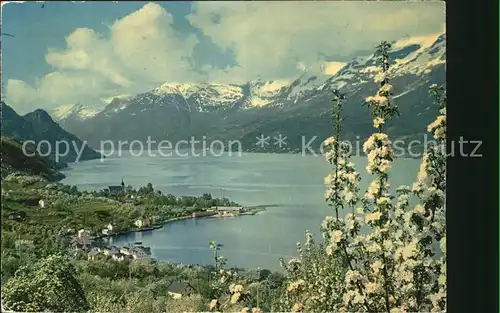 Norge Norwegen Sorfjorden Hardanger Ullensvang mot Folgefonnen Kat. Norwegen