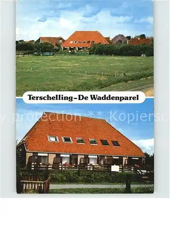 Terschelling De Waddenparel Kat. Niederlande