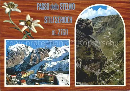 Stilfserjoch Ortlers Zebru Campana Kat. Italien