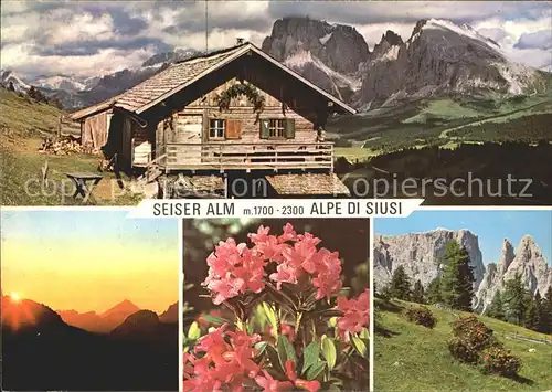 Dolomiten Seiser Alm Schlerngebiet Felsmassiv Alpenflora Kat. Italien