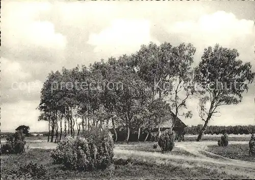 Lueneburger Heide Schnuckenstall Kat. Walsrode