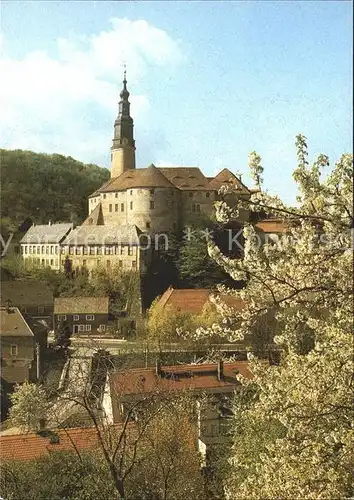 Weesenstein mit Schloss