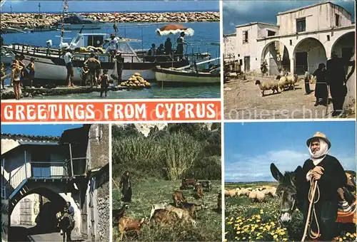 Cyprus Zypern Hafen Esel Kat. Zypern
