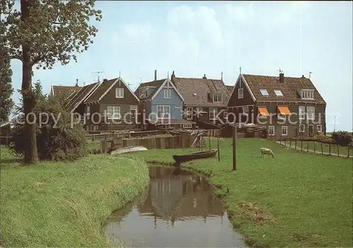 Marken Niederlande Teilansicht Tier  Kat. Niederlande