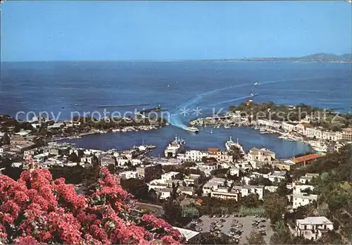 Ischia Hafen Kat. 