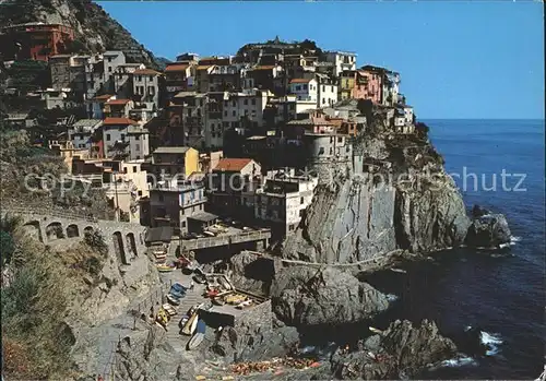 Manarola Panorama