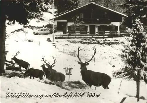 Scharling Wildfuetterung Alm Cafe Aibl  Kat. Dorf Kreuth