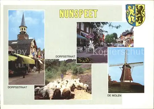 Nunspeet Muehle Schafe Dorfstrasse Kat. Nunspeet