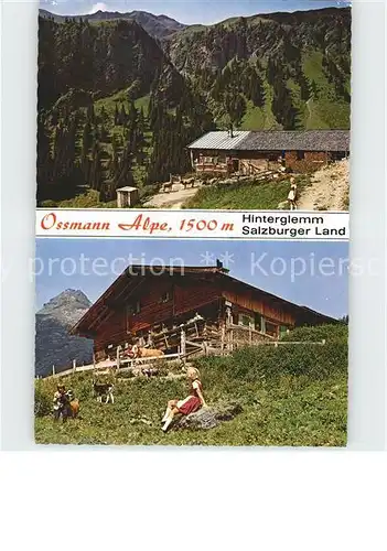 Hinterglemm Saalbach Ossmann Alpe