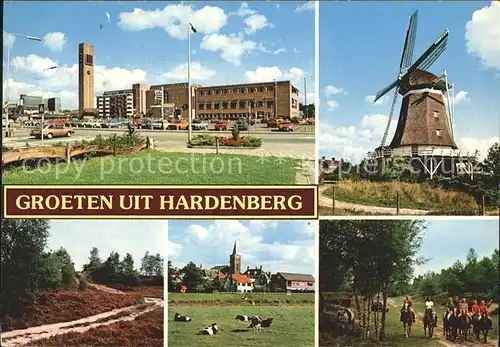 Hardenberg Niederlande Uhrturm Windmuehle Pferd  / Niederlande /