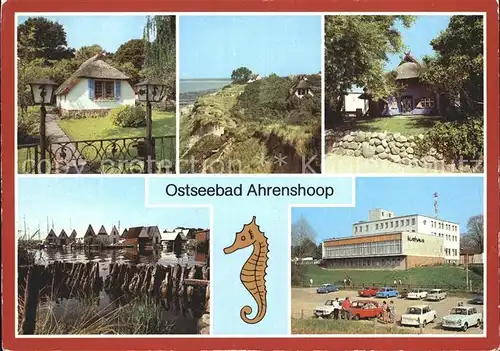 Ahrenshoop Ostseebad Haeuschen Boddenteich Hohes Ufer Kunstkaten Kurhaus Hafen  Kat. Ahrenshoop