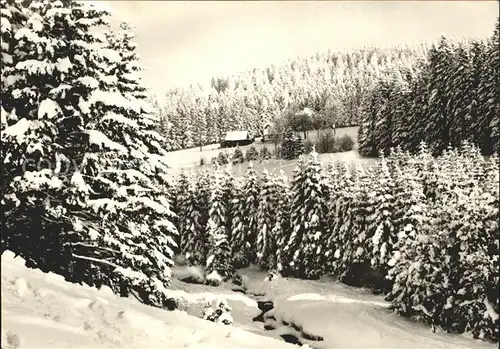 Schimmel Johanngeorgenstadt Haus am Wald Winterlandschaft