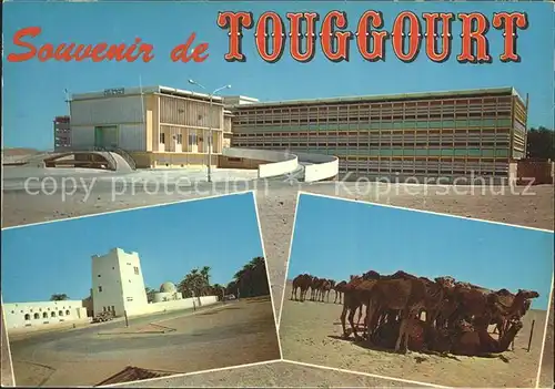 Touggourt Gebaeude Kamele Kat. Algerien