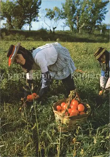 Portugal Erntezeit Kat. Portugal