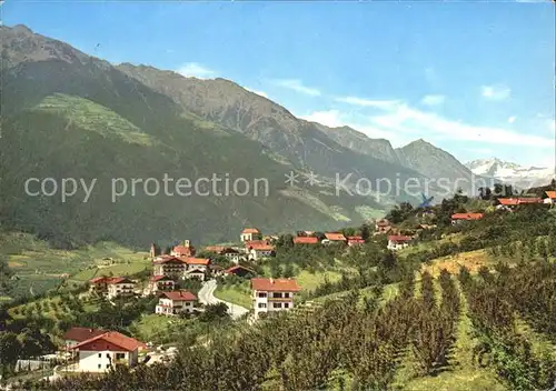 Schenna Meran Gesamtansicht mit Alpenpanorama Kat. Italien