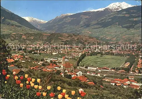 Marlengo Gesamtansicht mit Alpenpanorama Tulpen Kat. Marlengo Marling