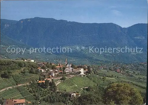 Dorf Tirol Fliegeraufnahme mit Weinbergern Kat. Tirolo