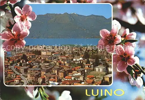 Luino Lago Maggiore  Kat. Lago Maggiore