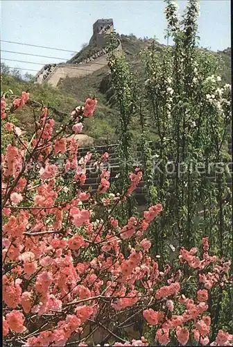 China Chinesische Mauer im Fruehling Kat. China