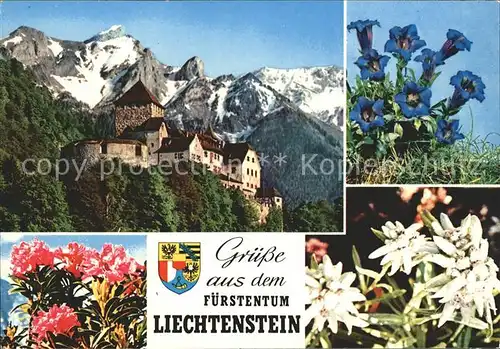 Liechtenstein  mit Schloss Kat. Liechtenstein