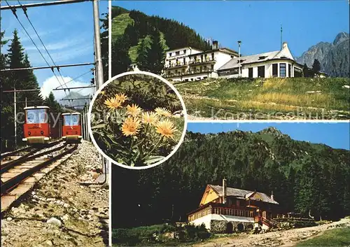 Vysoke Tatry Berghaeuser und Bahn Kat. Slowakische Republik